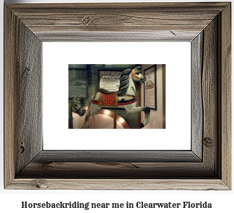 horseback riding near me in Clearwater, Florida